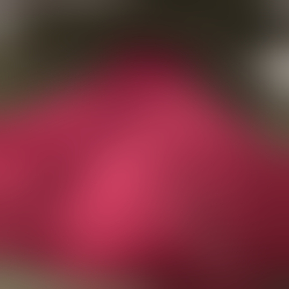 DARLING Elegant Burgundy Evening Silk Gown - Picture 5 of 7